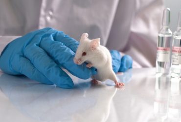 اگزوزوم به درمان ایدز در موش‌ها کمک می‌کند