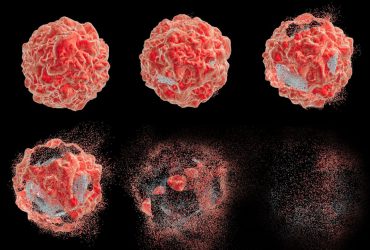 نانوذراتی که فقط سلول‌های سرطانی را از بین می‌برند
