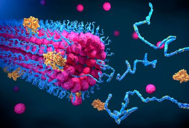 دانشمندان روی ساختار اتمی پروتئین‌های مصنوعی زوم می‌کنند
