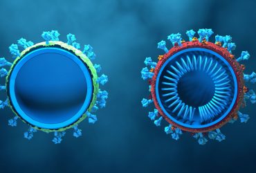 نانوذرات لیپید داروی ضد ایدز را به سلول هدف می‌رساند