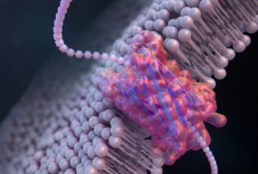 ساخت نانوحفره برای مشخصه‌یابی پروتئین‌ها