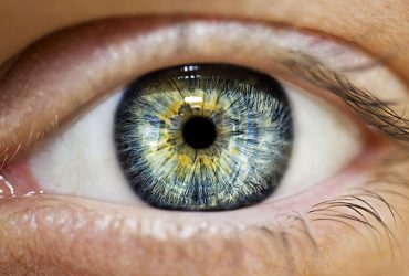 پروژه‌ای اروپایی برای ساخت پروتزهای شبکیه چشم با کمک فناوری‌ نانو