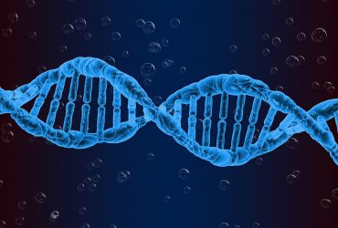 تولید نانوساختارهای DNA کپسول‌مانند