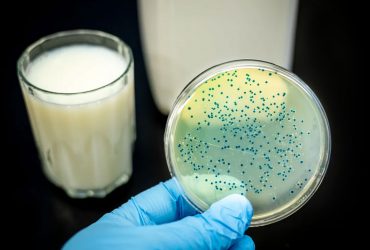 تشخیص آلودگی شیر با حسگری که روی ظرف چاپ شده است