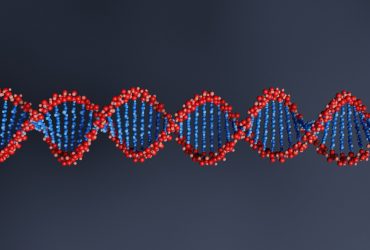 استفاده از DNA چسبنده برای تولید ساختارهای سازمان یافته