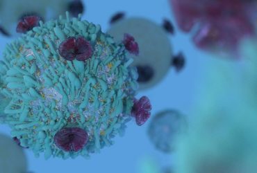 نتایج مثبت داده‌های پیش‌بالینی سیستم تحویل نانوذرات ضدسرطان
