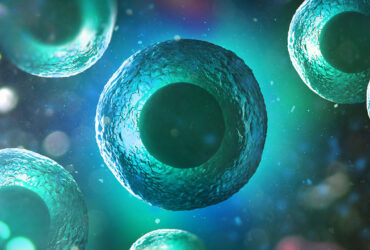 راهبردی برای قرار دادن داروهای مکانیکی در سلول‌های زنده
