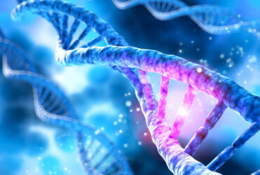 نانوسیلیکا نقش مهمی در بیان ژن دارد