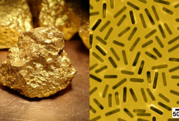 نانومیله‌های طلا با میدان مغناطیسی تراز می‌شوند!