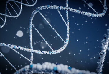 استخراج DNA با وزن مولکولی فوق‌العاده بالا تسهیل می‌شود