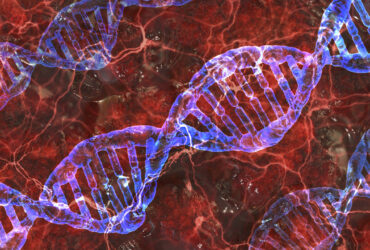از DNA برای ساخت واکسن و داروی حیوانات استفاده می‌شود