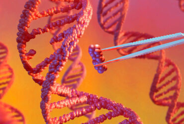 پلتفرم جدیدی که دامنه استفاده از ویراستار ژن را گسترش می‌دهد