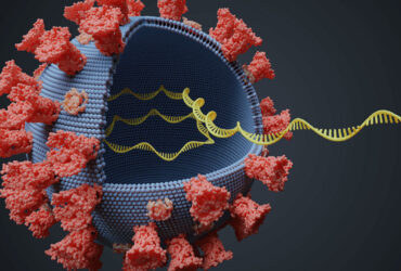 نانوذرات لیپیدی و mRNA ویروس کرونا را در سلول‌ها مهار کردند