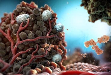 نانوذرات پروتئینی رشد تومور را با هم‌افزایی محدود می‌کند
