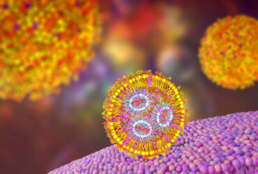 تولید نانوذرات پلیمری، در نقش آنتی‌بادی/ هدف: مقابله با ویروس‌های متفاوت