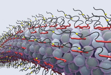 حسگر مبتنی بر نانوحفره برای مطالعه پروتئین‌ها ساخته شد