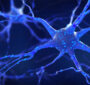 با فناوری‌نانو، آسیب سلول‌های عصبی قابل درمان است؟