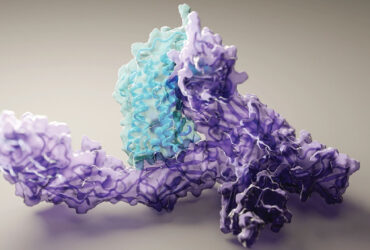 کشف برهمکنش‌های پروتئین با نانوذرات برای طراحی بهتر دارو
