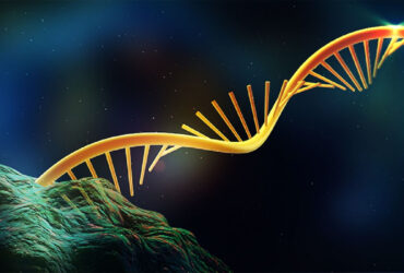 طراحی نانوذراتی که mRNA را وارد لوزالمعده می‌کنند