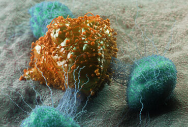 با ترکیب ویروس و نانومواد دوبعدی، سلول‌های سرطانی از بین می‌روند