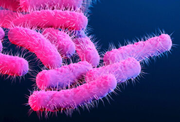 چگونه اکسیژن روی سطح گرافن به کشتن باکتری‌ها کمک می‌کند؟