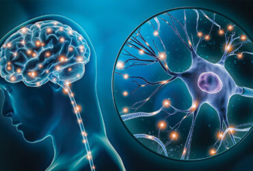 تحریک نورون‌های مختلف با نانوالکترود بهتر انجام می‌شود