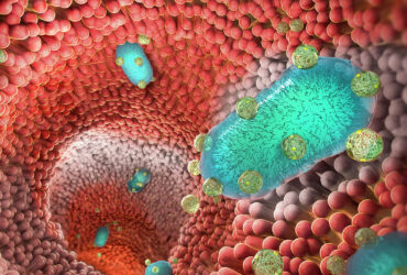 نانوذرات، علائم بیماری التهاب مزمن روده را کاهش دادند