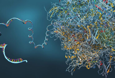 نتایج آزمایش پیش‌بالینی نانوذرات لیپیدی حاوی mRNA منتشر می‌شود