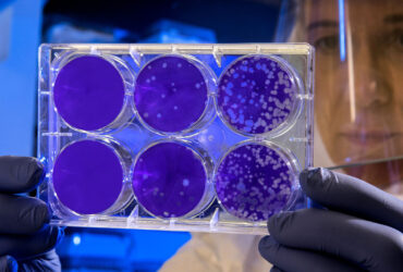 یک نانوذره معدنی به عنوان گزینه‌ی احتمالی به جای آنتی‌بیوتیک‌ها معرفی شد
