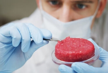 تشخیص تازگی و طراوت گوشت با کمک یک حسگرنانویی