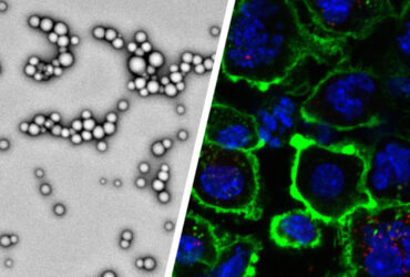 طراحی نانوذراتی که شانس از بین بردن تومورهای بدخیم را افزایش می‌دهند