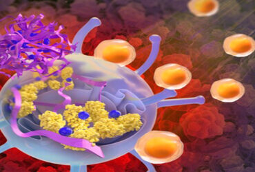 حمله پارتیزانی سلول‌های ایمنی بدن به تومور سرطانی با یک محرک نانویی