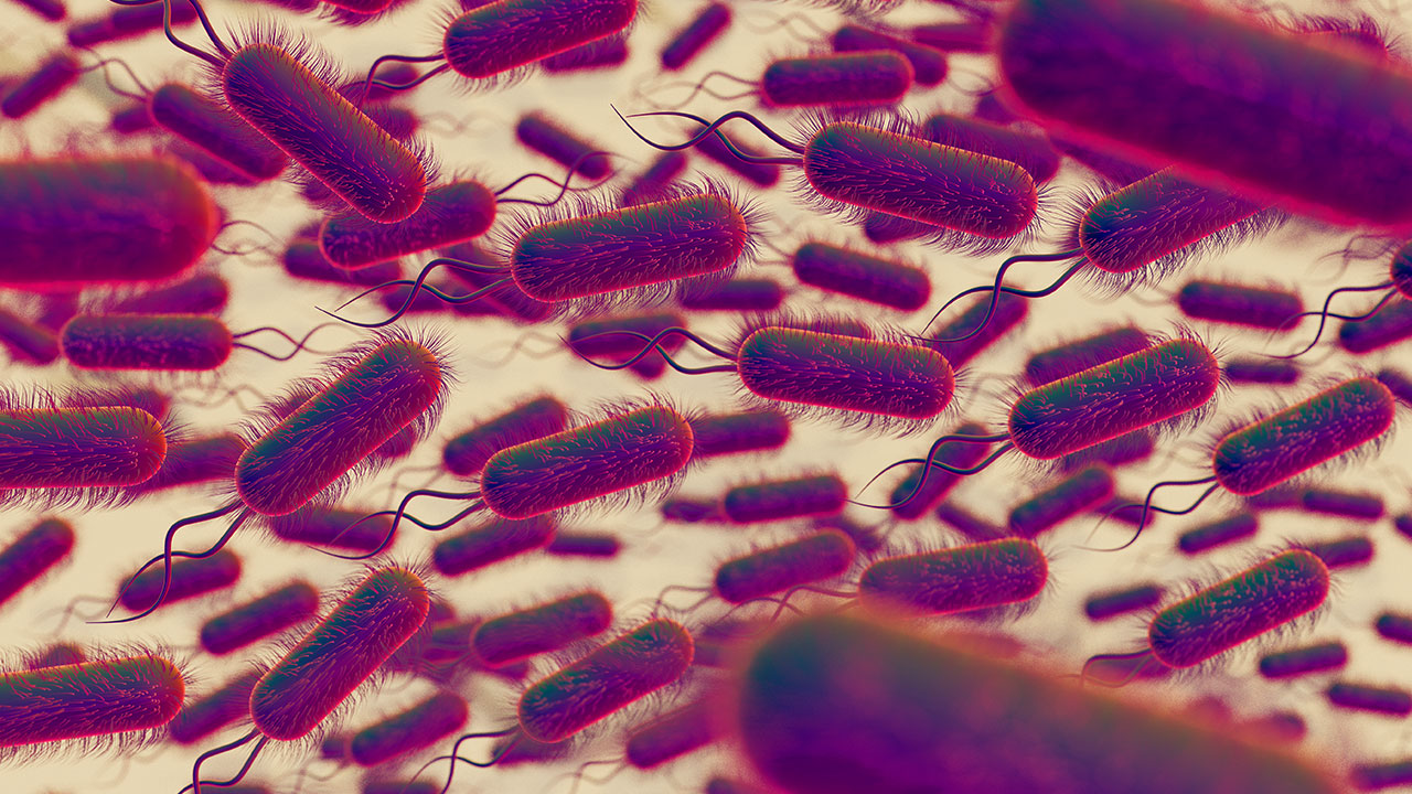 پایان عفونت‌های مقاوم به دارو؟ ارائه پوششی که باکتری‌ها را کاملا دفع می‌کند