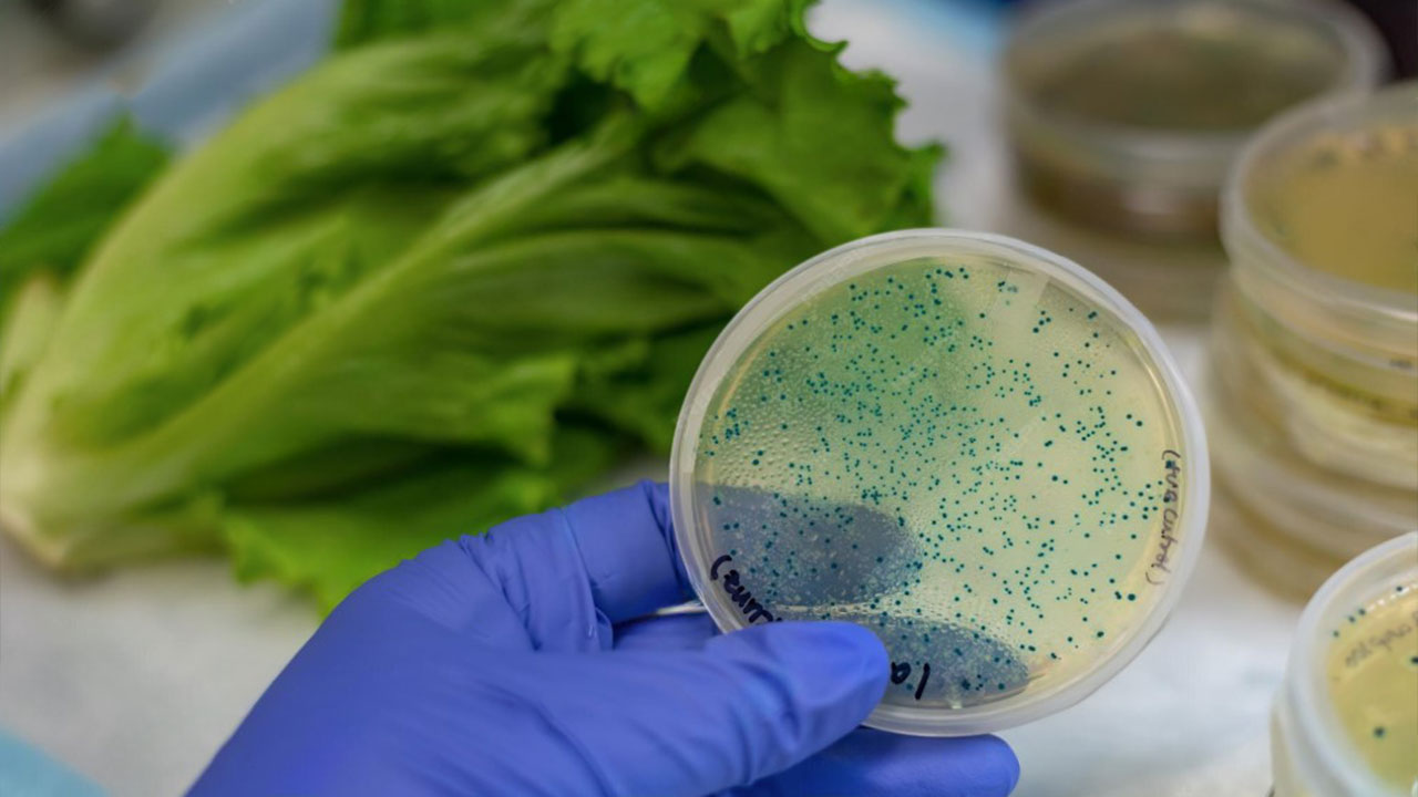 پایان انتظار چندروزه: تشخیص آلودگی آب و غذا در کمتر از ۲ ساعت!