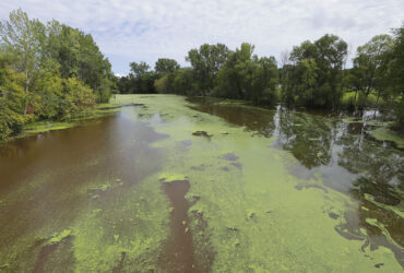 نجات دریاچه‌های ویسکانسین از جلبک‌های سمی با کمک نانوحباب