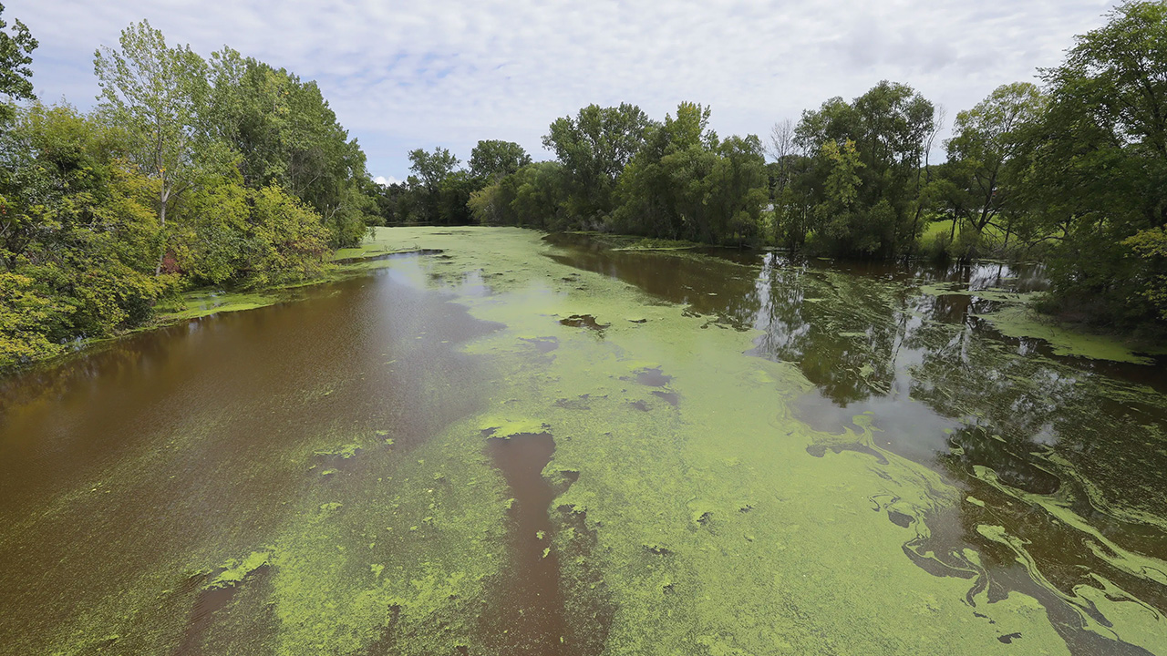 نجات دریاچه‌های ویسکانسین از جلبک‌های سمی با کمک نانوحباب