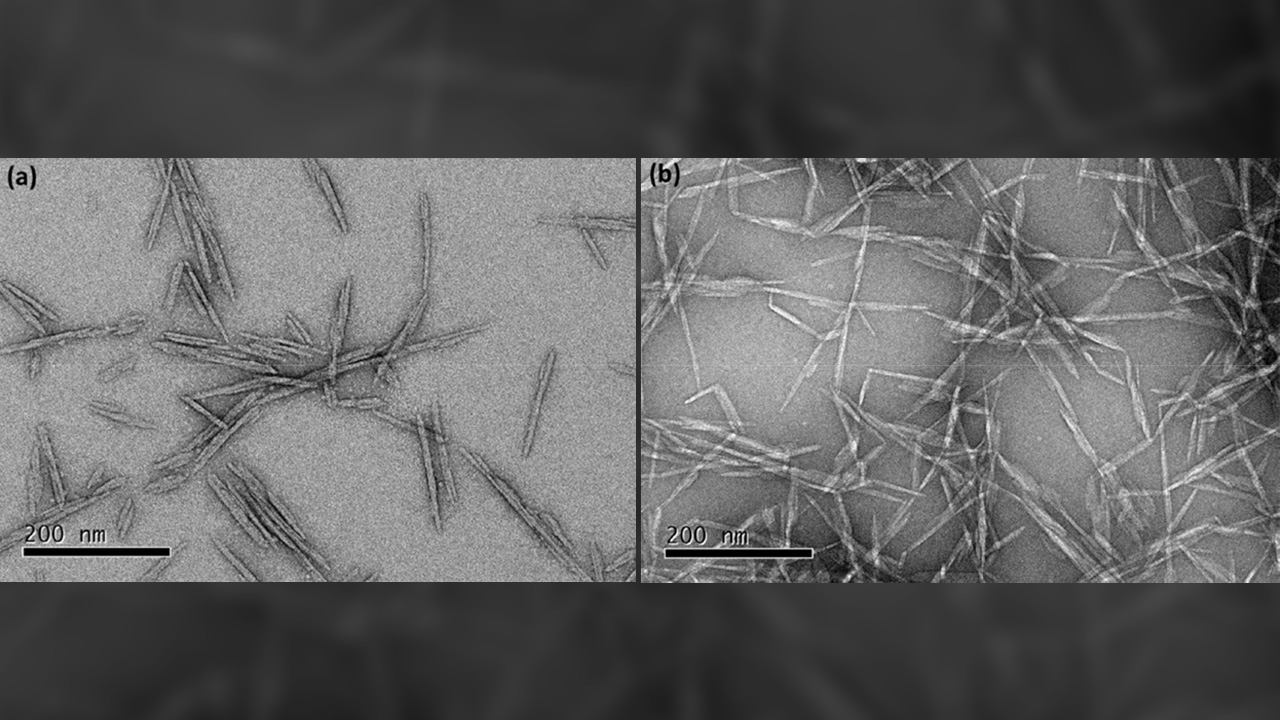 دانشگاه شاهرود: الیاف نانویی خودترمیم‌شونده برای پوشیدنی‌های هوشمند