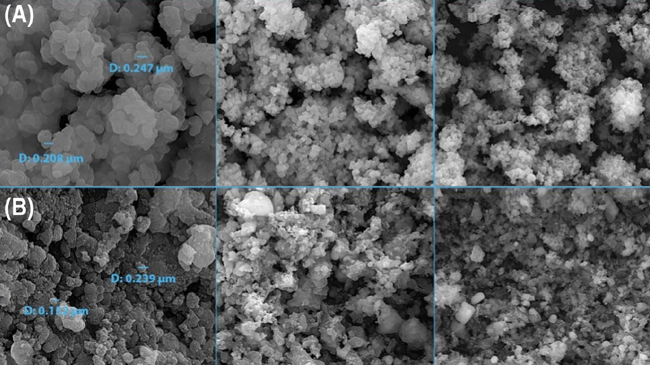 نانوکاتالیست چندکاره برای سنتز ترکیبات دارویی با خاصیت ضدسرطان ساخته شد