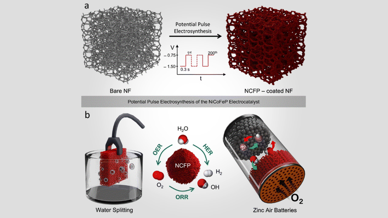 انتخاب مقاله‌ی نانویی از دانشگاه تربیت مدرس در فهرست «Editor’s Choice» مجله Chemical Science
