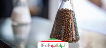 از کود اوره آهسته‌رهش نانویی ویژه کشاورزی هوشمند و پایدار بازدید کنید