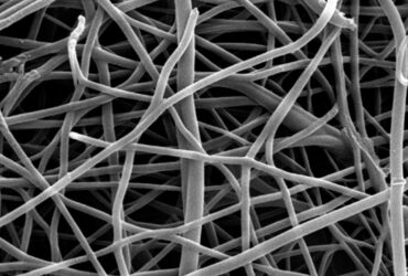 آسیب‌زایی نانوالیاف‌ها بیشتر به شکل آن‌ها وابسته است تا ترکیب شیمیایی