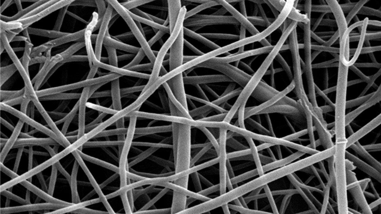 آسیب‌زایی نانوالیاف‌ها بیشتر به شکل آن‌ها وابسته است تا ترکیب شیمیایی