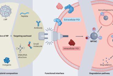 پروتئین‌های مرگ‌آور به دام نانوذرات افتادند!