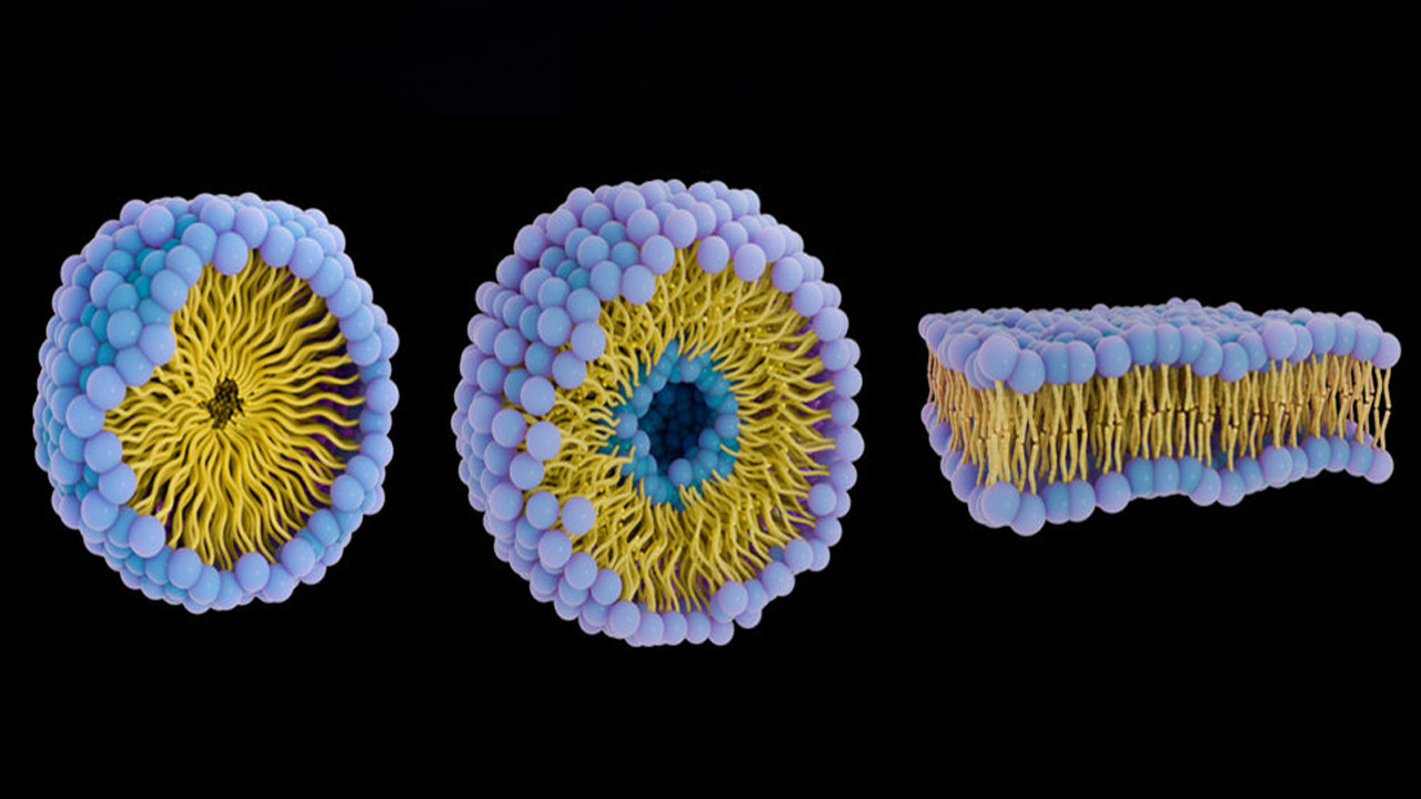 شکارچیان نانویی: سفر اکتشافی حباب‌های دارورسان به قلب تومورهای سرطانی