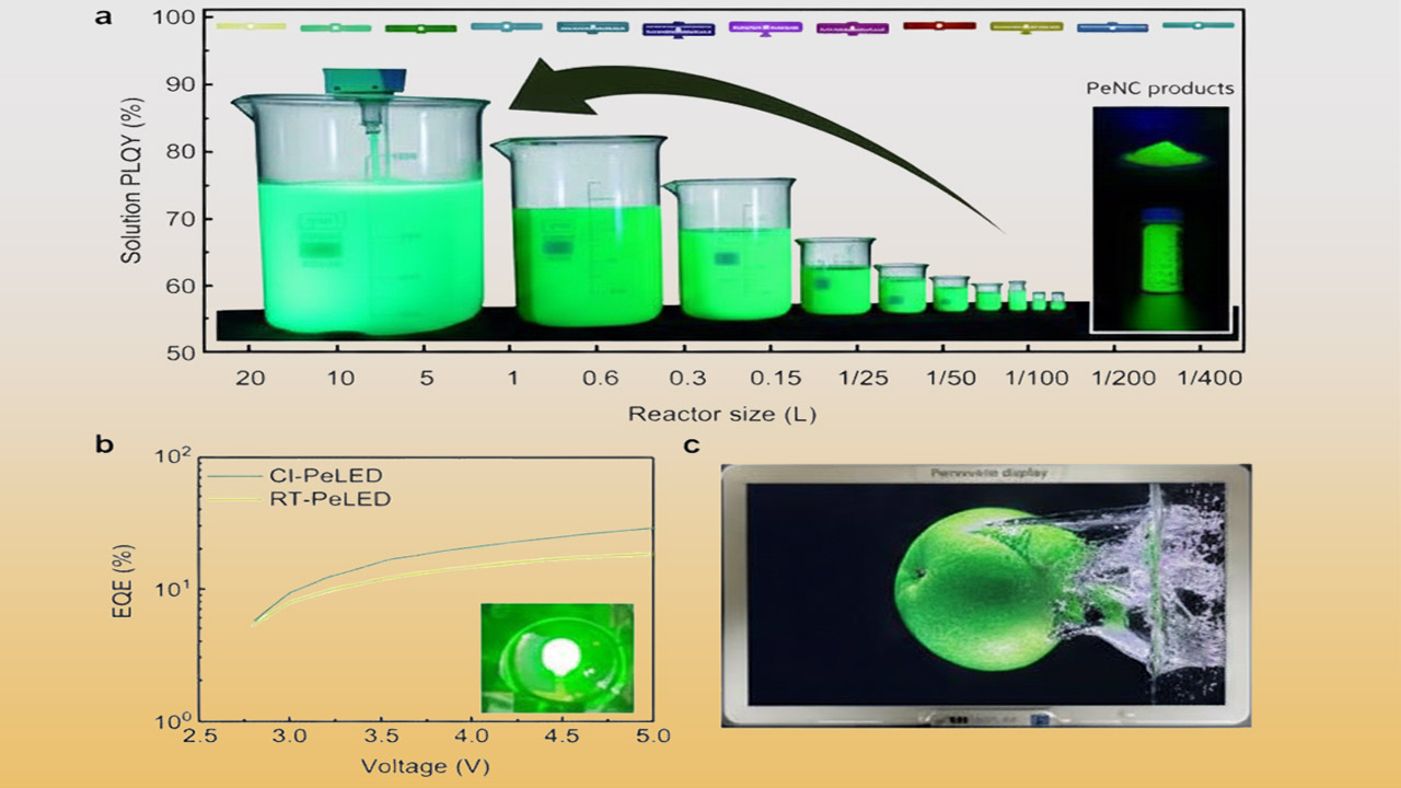 با تولید انبوه پرُوسکایت‌ها، کره ای ها بازار تلویزیون را تغییر میدهند