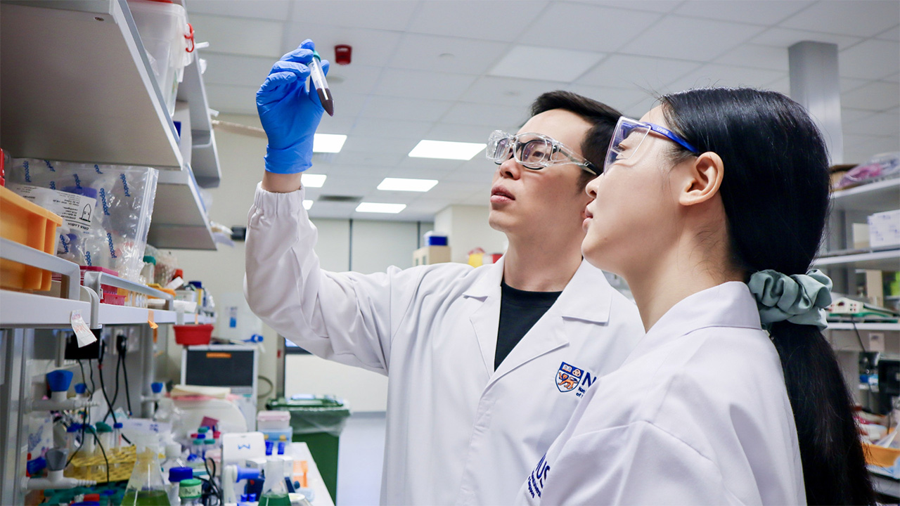 نانوذرات بارکددار DNA؛ مسیر تازه برای درمان دقیق سرطان